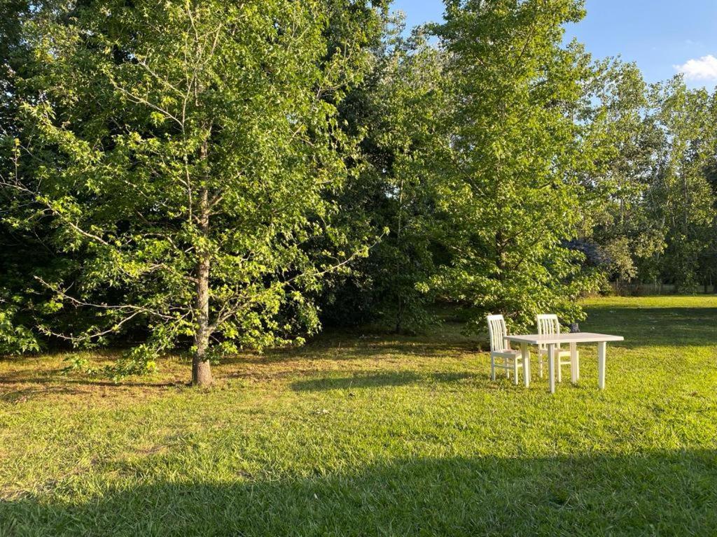 Сasa de vacaciones La Calma Casa Quinta - Piscina, Parrilla, Wifi - Pilar (Buenos Aires)