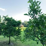 La Calma Casa Quinta - Piscina, Parrilla, Wifi -